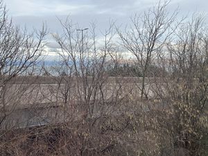 Photo 25- click for photo gallery